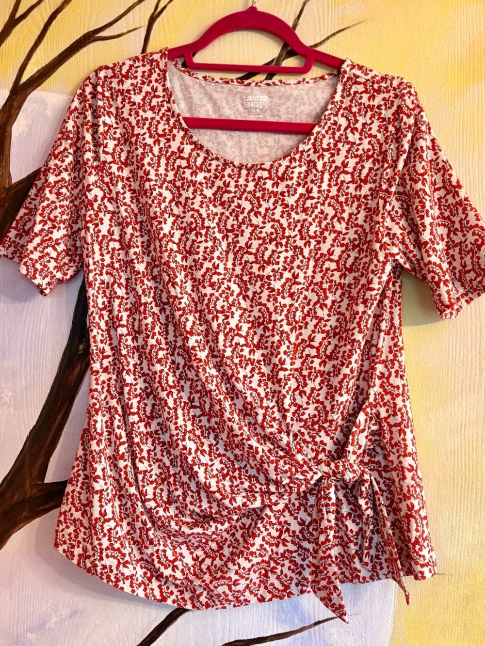 EUC Lands End Shirt & Bonus Shirt